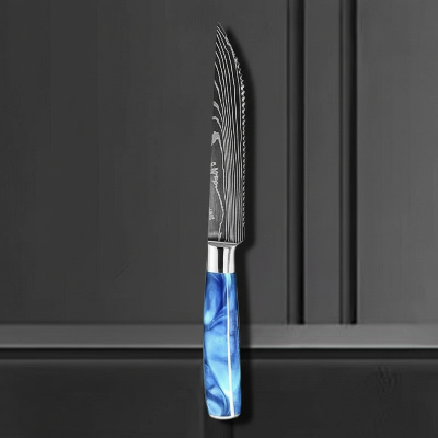 couteau-pour-steak-bleu