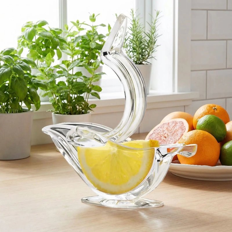 presse agrume manuel avec assiette agrumes fines herbes