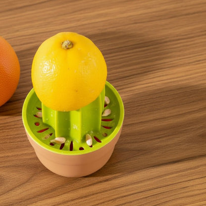 presse agrumes pressant citron sur comptoir