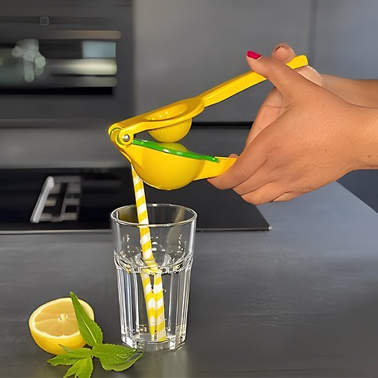 Presse fruits préparer une eau citronnée sans effort