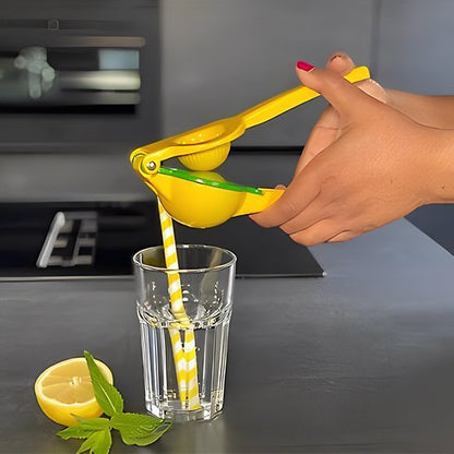 Presse fruits préparer une eau citronnée sans effort
